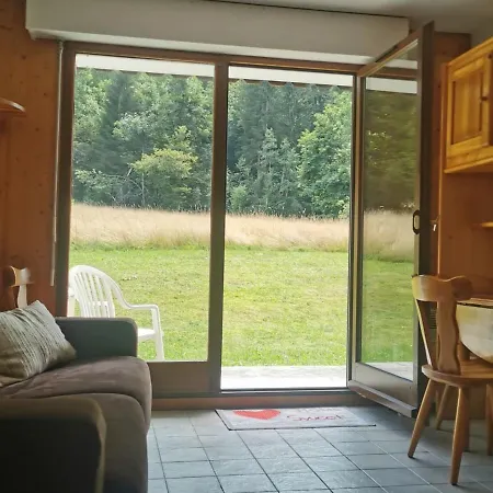 Lumineux Avec Terrasse, Proche Remontees Mecaniques - 3 Personnes A - Fr-1-676-180 Apartment *